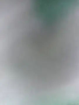 Snapshot of Bristy_BigBoobs chatting on April 11, 4:17 am Bristy BigBoobs online show from April 11, 4:17 am