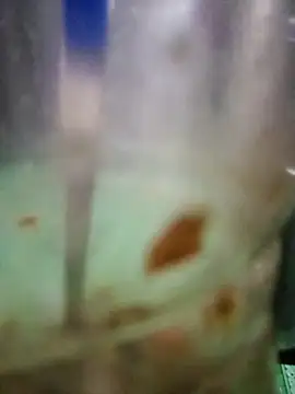 roc321 online show from April 9, 11:37 am