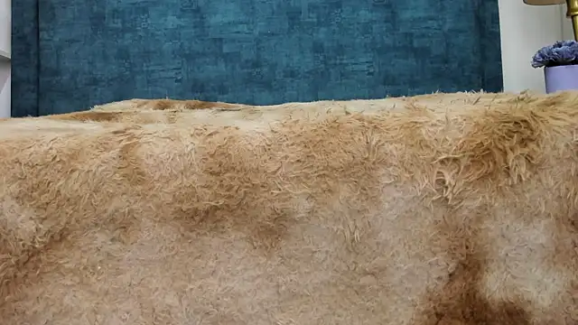 Snapshot of IsadoraVex chatting on April 14, 12:44 pm IsadoraVex online show from April 14, 12:44 pm