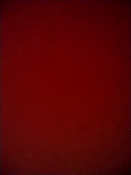 Shaniya03 online show from May 6, 3:17 pm