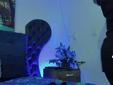 dreamycushions online show from May 22, 6:46 pm