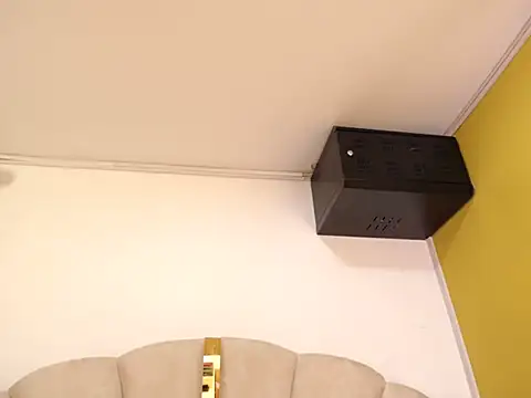 Gingerblis online show from June 11, 9:57 pm