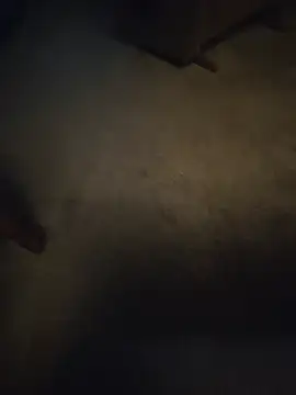 the Milk Man online show from July 6, 2:52 am