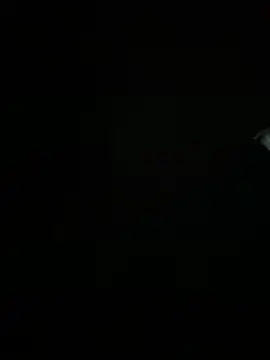 Snapshot of Xiao_Mao_meow chatting on June 17, 12:24 am Xiao Mao meow online show from June 17, 12:24 am
