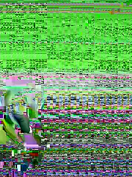 bigorange11 online show from June 20, 7:22 am