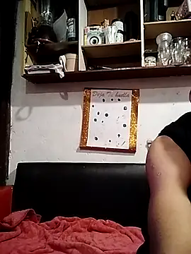 bellabrik online show from June 26, 2:49 am