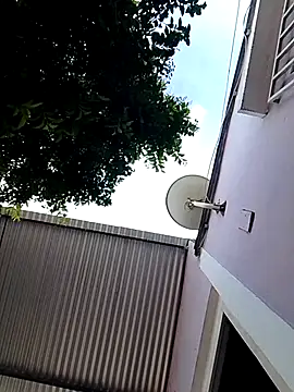 bradboy Pigpisscum online show from July 29, 1:42 pm