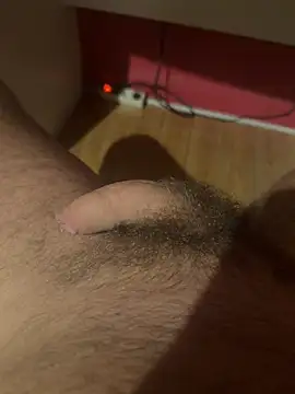 Wild unterwegs online show from June 22, 6:49 pm