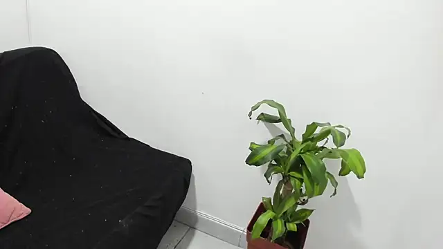 Snapshot of spicy_kirie_ chatting on August 5, 12:52 pm spicy kirie online show from August 5, 12:52 pm