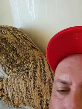 heterohotguy78 online show from July 24, 10:46 am