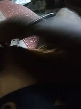 UltraXerotica online show from July 7, 1:41 am