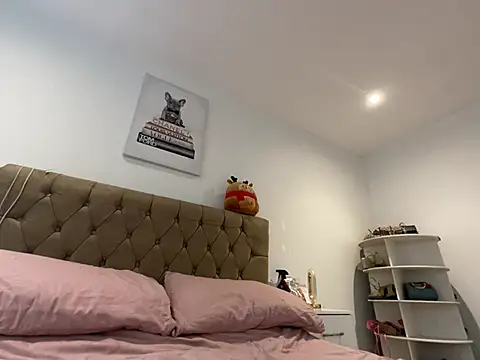 british willowX online show from July 29, 4:54 am