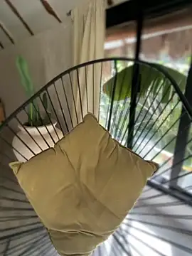 Blaackcat online show from November 25, 8:20 pm