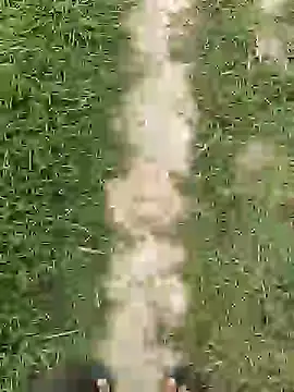 ThethunderPo online show from April 1, 2:45 am