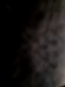 Snapshot of mogli444 chatting on December 8, 1:03 pm mogli444 online show from December 8, 1:03 pm