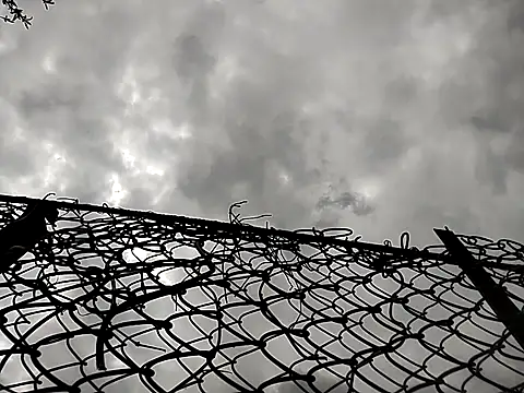 sarpe4 online show from April 25, 11:24 am