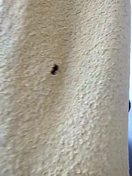 david geam online show from March 20, 6:51 am