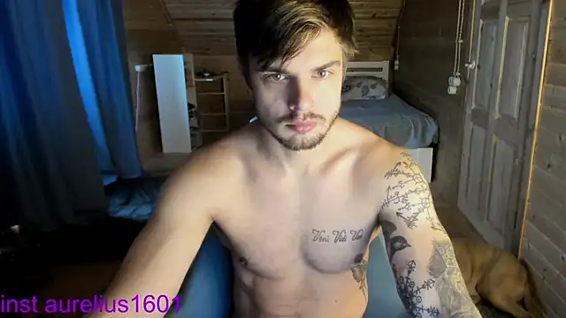 maks wolfis online show from September 16, 11:33 am