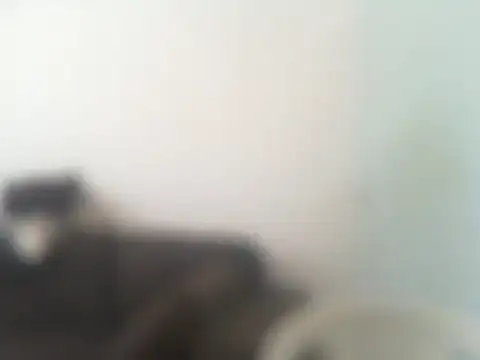 ConradinhoBR50 online show from April 19, 2:27 pm