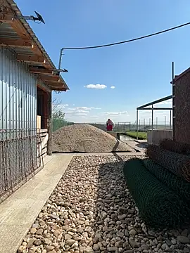 SabinaSweety online show from April 10, 12:43 pm