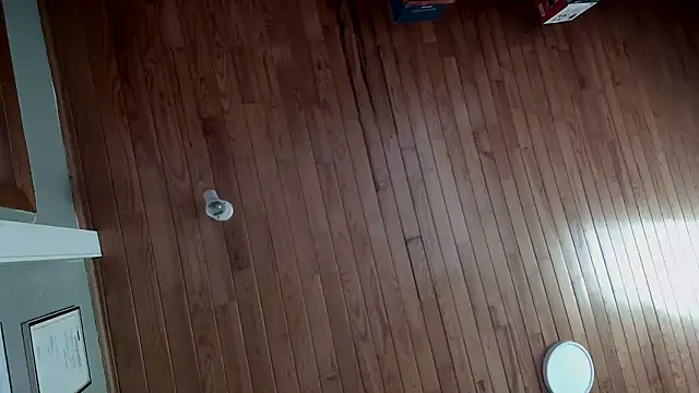 riverside197575 online show from October 23, 9:08 am