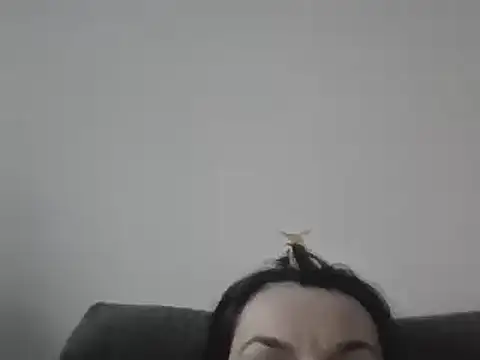 FallenDevil online show from March 7, 4:00 pm