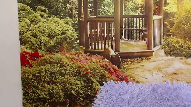 Pavla Soft online show from April 24, 9:01 am