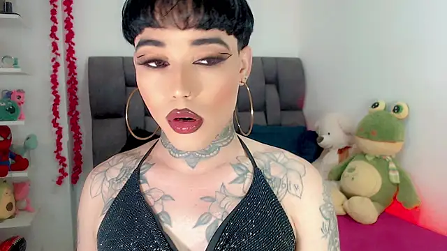 little star porn online show from February 5, 3:22 am