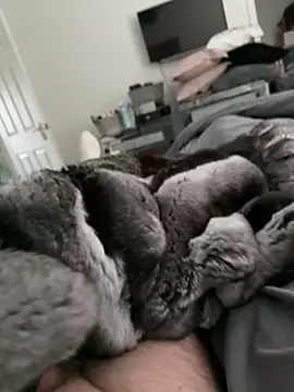 Snapshot of Furdale chatting on October 30, 2:18 pm Furdale online show from October 30, 2:18 pm