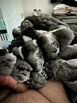 Snapshot of Furdale chatting on November 15, 1:29 pm Furdale online show from November 15, 1:29 pm