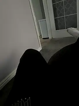 Snapshot of Furdale chatting on November 27, 1:46 pm Furdale online show from November 27, 1:46 pm