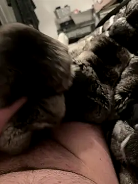 Snapshot of Furdale chatting on December 4, 7:00 pm Furdale online show from December 4, 7:00 pm