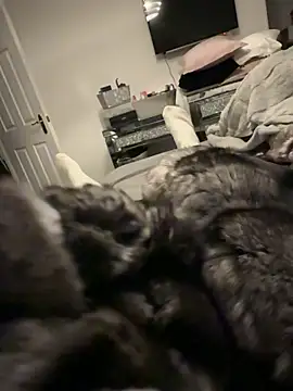 Snapshot of Furdale chatting on December 17, 4:13 pm Furdale online show from December 17, 4:13 pm