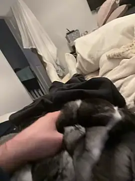 Snapshot of Furdale chatting on February 4, 4:35 pm Furdale online show from February 4, 4:35 pm