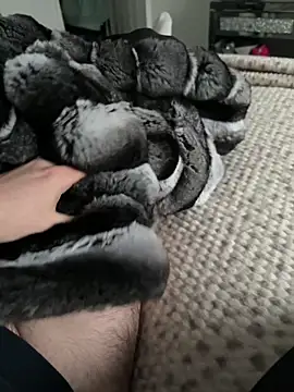 Snapshot of Furdale chatting on February 9, 3:38 pm Furdale online show from February 9, 3:38 pm