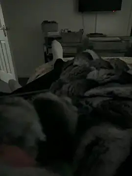 Snapshot of Furdale chatting on February 11, 3:39 pm Furdale online show from February 11, 3:39 pm