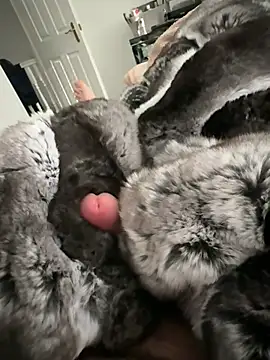 Snapshot of Furdale chatting on February 22, 3:10 pm Furdale online show from February 22, 3:10 pm