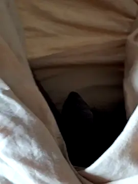 malluflash online show from February 12, 7:58 am