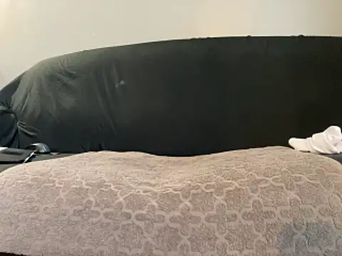 Snapshot of BruceIsHorny_ chatting on February 14, 2:36 pm BruceIsHorny online show from February 14, 2:36 pm