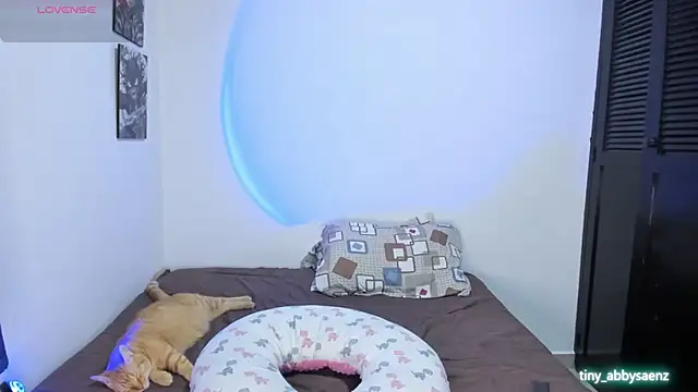 Abby Saenz01 online show from September 14, 12:21 am