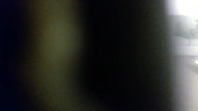 palidin1 online show from February 1, 7:51 am