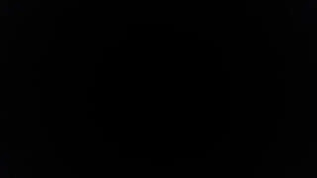 palidin1 online show from April 20, 5:54 am