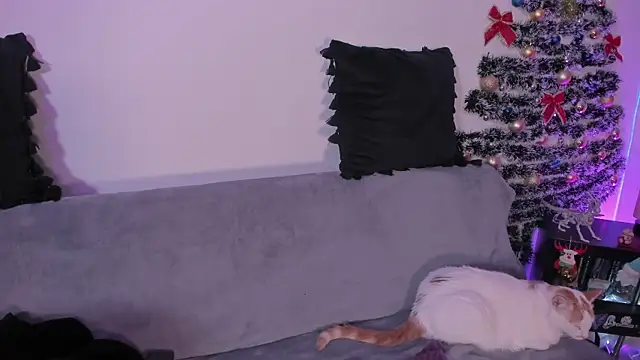 pamela doll3 online show from December 21, 3:35 am