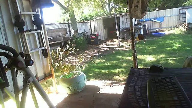 herbie010666 online show from April 14, 4:07 am