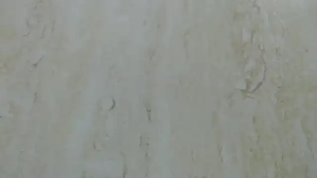 Crazy team  online show from December 20, 3:31 pm