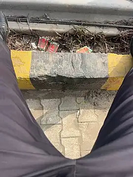 Bareilly Boy1 online show from January 18, 9:13 am