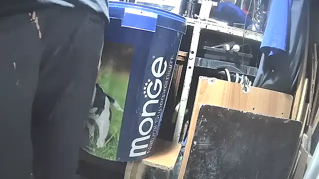 nonnomaturobisex online show from March 11, 3:12 pm