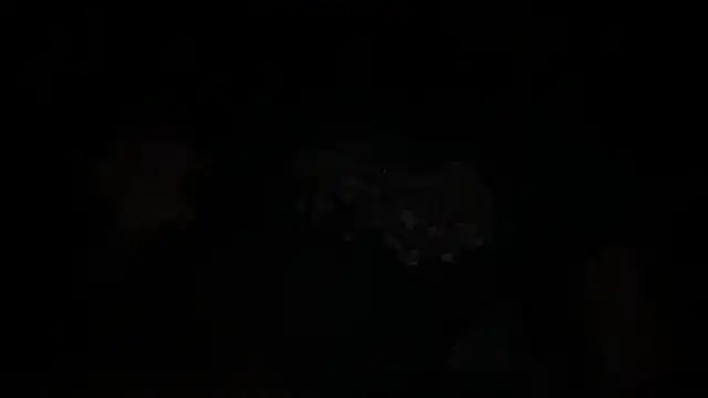 waveonce- online show from December 14, 7:36 am