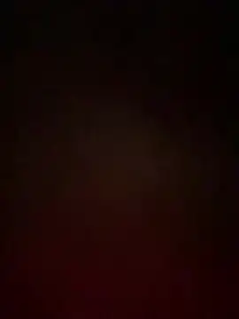 Snapshot of Noxarcane chatting on January 11, 11:59 am Noxarcane online show from January 11, 11:59 am