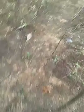 Gopal1243 online show from March 27, 1:11 am